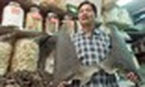 Vì sao vi cá mập lại đắt đến mức thành thước đo sự giàu sang?