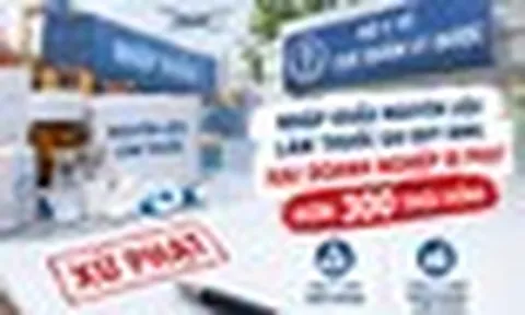 Nhập nguyên liệu làm thuốc sai quy định, hai doanh nghiệp bị phạt hơn 300 triệu