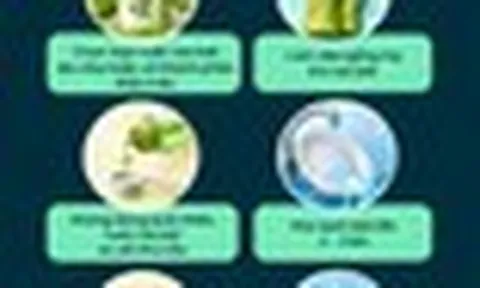 Lời khuyên cho những gia đình đang dùng nước rửa chén khi rửa bát