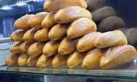 175 người ăn bánh mì Bà Được bị ngộ độc: 4 mẫu bệnh phẩm dương tính với Salmonella