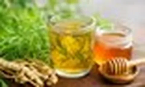 Thói quen uống nước lá đinh lăng cần bỏ ngay
