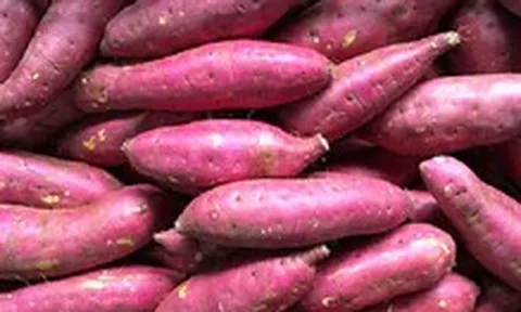 Khoai tây và khoai lang: Loại nào tốt hơn cho việc giảm cân, giá trị dinh dưỡng và hỗ trợ tiêu hóa?