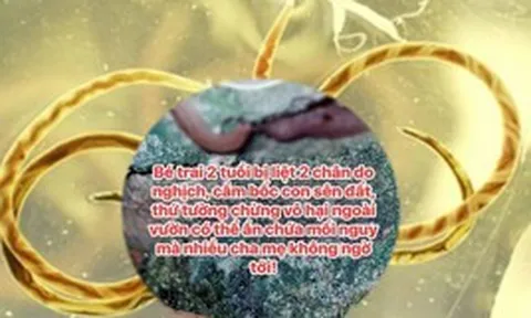 Từ câu chuyện bé trai 2 tuổi được cho là bị liệt 2 chân do giun phổi chuột được chia sẻ trên MXH: Điều cha mẹ không nên bỏ qua