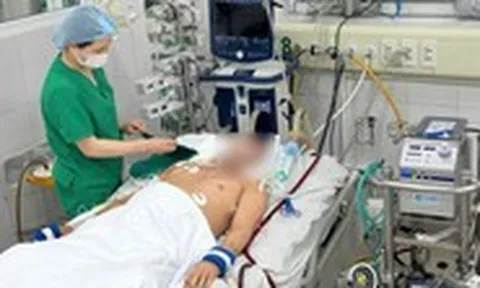 Nam thanh niên khỏe mạnh sốc sốt xuất huyết phải thở máy: Bác sĩ khuyến cáo không chủ quan