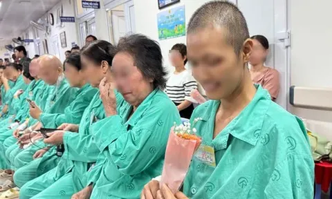 5 loại ung thư người Việt mắc nhiều nhất: Ung thư vú dẫn đầu, tiếp đến là gì?