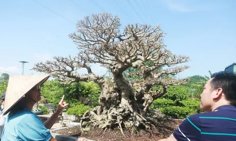 Đi tìm câu chuyện bí ẩn phía sau tác phẩm Song Long Tọa Thạch