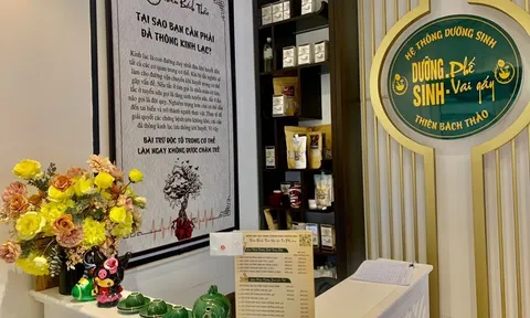 Thiên Bách Thảo Ba Đình - Dịch vụ Spa dưỡng sinh chăm sóc sức khỏe chuyên sâu hiệu quả