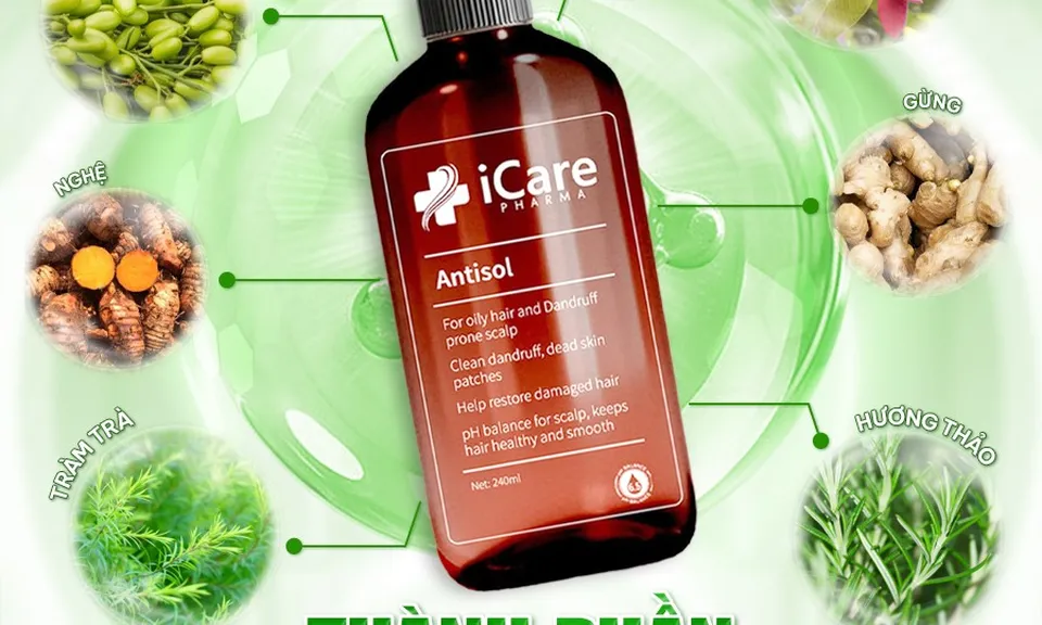 Cách phân biệt gàu sinh lý và bệnh lý để chọn đúng sản phẩm chăm sóc